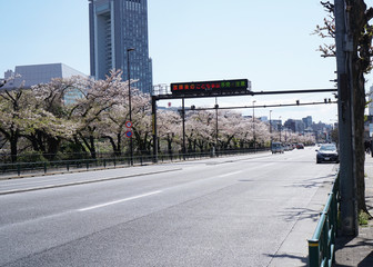 春の都心
