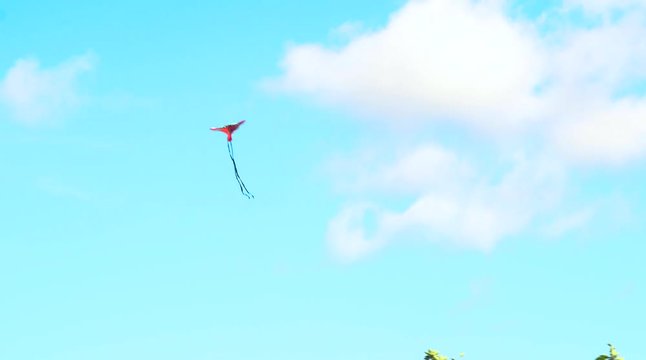 Cinematic gimbal shot looking up towards a small flying kite during a summer day