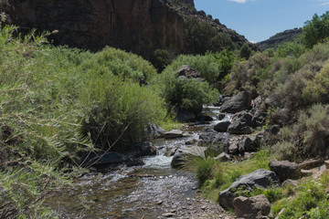 The Rio Hondo in northern New Mexico.