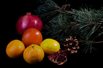 Persimmon fruit on a black background with a sprig of Christmas trees