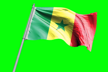 Senegal Flag on Flagpole. Waving Rippled Flag Pole in the Wind.Design llustration in Silk Fabric Texture. Isolated on Chroma Key Green Screen Background