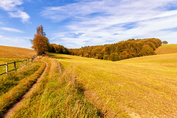 German rural landscape with wheat field and blue sky