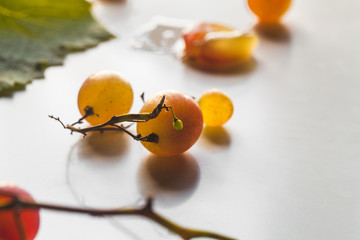 ripe dark grape close up. wooden background
