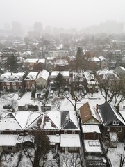 Snow storm in Toronto