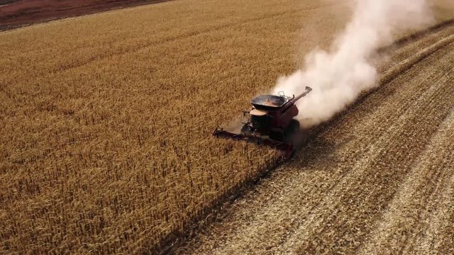 Beautiful drone shot of combine harvesting corn in Texas