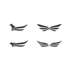 Fototapeta premium Falcon Eagle Bird Logo Template