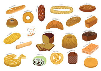 Various Bread Kind From Around the World Cartoon Vector