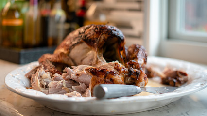 Delicious Thanksgiving Turkey