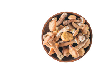 Forest autumn mushrooms in a clay bowl isolated on a white. Forest mushrooms on the table. Flat lay.