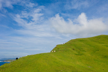 Fototapeta premium Amazing landscape partial part of Batanes Island located in Philippines.. Image shot by drone.