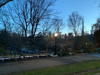 Central park, New York City.  View of Manhattan. Gloomy.