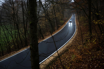 autumn forest road with a car