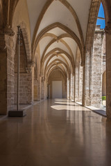 Fototapeta na wymiar Gothic hall with columns. Centre del Carme, Valencia Spain
