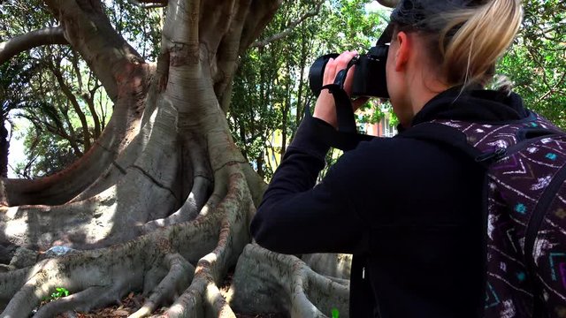 girl photographs on camera a large tree with huge roots