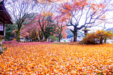 佐田神社の紅葉