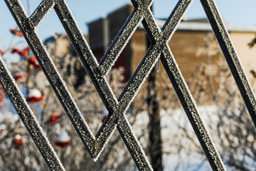 Snow metal fence