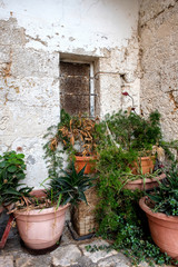 Fototapeta na wymiar Green plants in pots on the pavement. Stone wall of an old house. Italy.