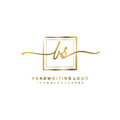 Initial B S handwriting logo design, with brush box lines gold color. handwritten logo for fashion, team, wedding, luxury logo.