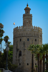 Fototapeta na wymiar Seville Protection