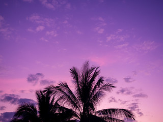 Beautiful purple sky background in the morning.