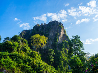 Stone cliff mountain with green forest on blue sky background.