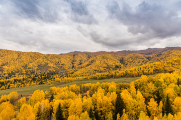Autumn autumn in Xinjiang.