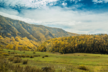 Autumn autumn in Xinjiang.