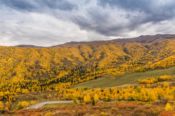 Obraz premium Autumn autumn in Xinjiang.