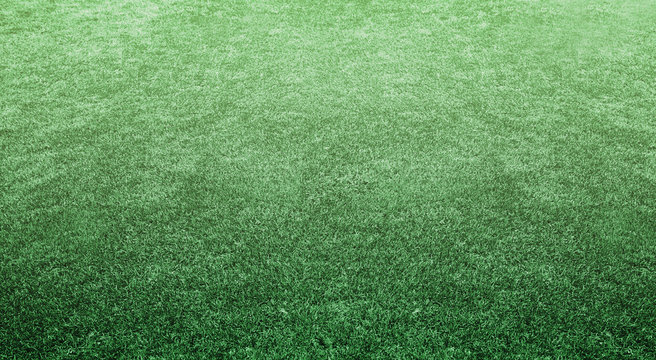 Lawn soccer field floor background