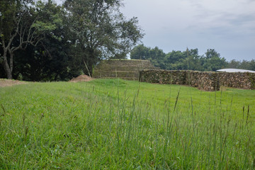 Obraz premium Piramide y estructuras zona arquologíca de Tingambato.