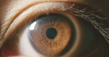 Macro shot of brown eye - Powered by Adobe