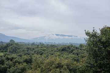 Obraz na płótnie Canvas Paisaje con neblina y nubes en Michoacan Mexico