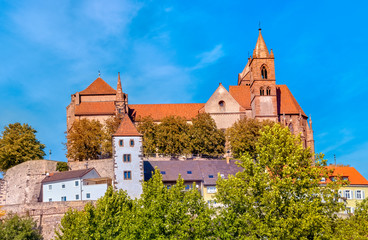 Obraz premium Breisach am Rhein. Deutschland