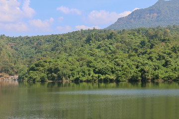 Water in lake with forest lake shore view.
