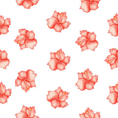 Hibiscus pattern