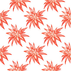 Pattern of tropical flowers