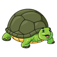 Turtle Cute Cartoon