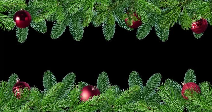 Christmas Frame Green branch of pine tree isolated on black and red background screen overlay