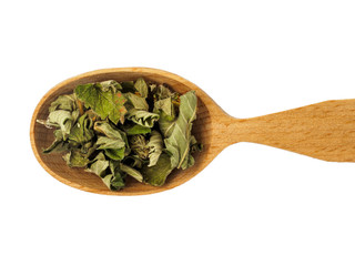 Dry Agrimonia in wooden spoon on white background