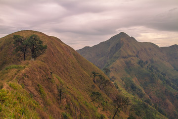 landscape in the mountains