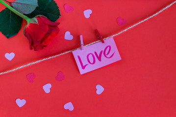 Hearts on a red background. Fresh rose with green leaves. Valentin's Day, love. Top view. Flat lay....