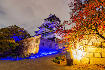 夕景の大阪城天守閣と紅葉