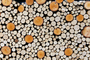 a wall of many felled tree trunks lying on top of each other