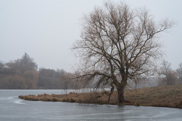 Tree standing over a frozen lake, winter landscape, the beginning of winter.