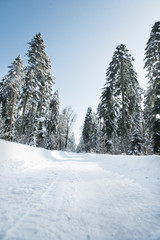 route avec de la iege dans le Jura