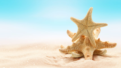 Fototapeta na wymiar Starfishes on beach in sand. Beach holiday, summertime background, blurred backdrop, marine life.