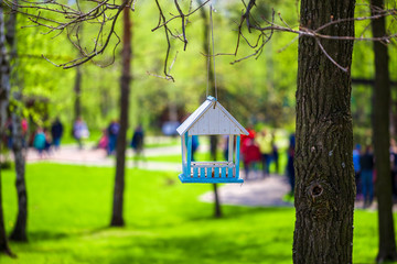 Obraz na płótnie Canvas Little birdhouse in the park at warm sunny day. Concept of approach of spring, summer, birds arrival, spring mood. Animal protection.