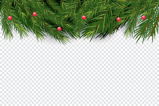 Christmas and New Year banner winth Realistic Spruce branches, Christmas tree. Vector Isolated on transparent background