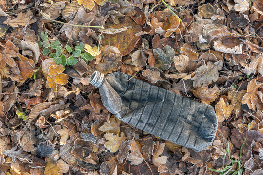 Bouteille plastique dans la nature