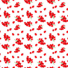 Red currant berries on white background.